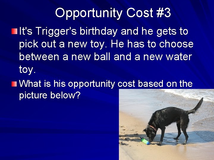 Opportunity Cost #3 It's Trigger's birthday and he gets to pick out a new