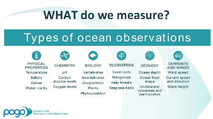 WHAT do we measure? 