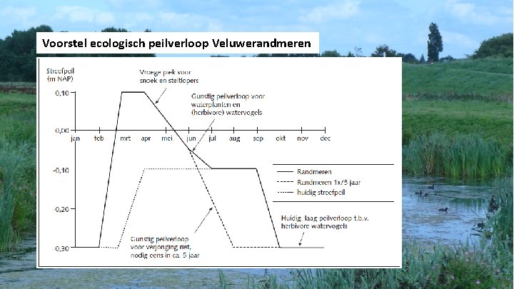 Voorstel ecologisch peilverloop Veluwerandmeren 12 Voorstel ecologisch peilverloop Veluwerandmeren 12
