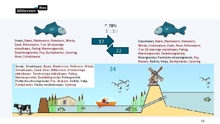 ~ 70% UIT Snoek, Baars, Blankvoorn, Rietvoorn, Winde, Zeelt, Bittervoorn, 3 en 10 -doornige ~ 70% UIT Snoek, Baars, Blankvoorn, Rietvoorn, Winde, Zeelt, Bittervoorn, 3 en 10 -doornige