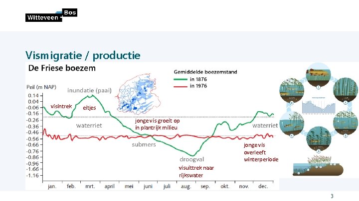 Vismigratie / productie • Vegetatieontwikkeling • Reproductie visintrek eitjes • Vismigratie jonge vis groeit Vismigratie / productie • Vegetatieontwikkeling • Reproductie visintrek eitjes • Vismigratie jonge vis groeit