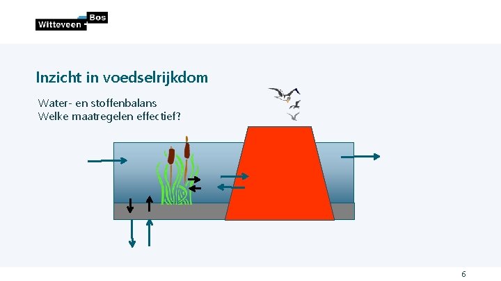 Inzicht in voedselrijkdom Water- en stoffenbalans Welke maatregelen effectief? 6 Inzicht in voedselrijkdom Water- en stoffenbalans Welke maatregelen effectief? 6