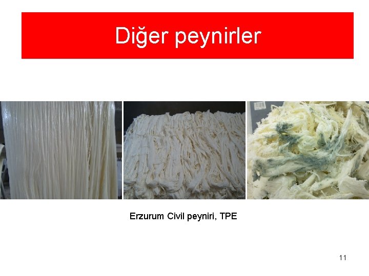 Diğer peynirler Erzurum Civil peyniri, TPE 11 