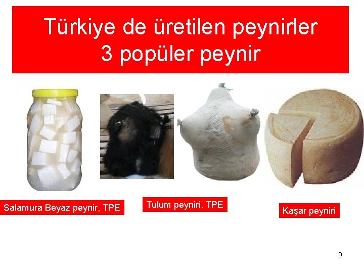 Türkiye de üretilen peynirler 3 popüler peynir Salamura Beyaz peynir, TPE Tulum peyniri, TPE