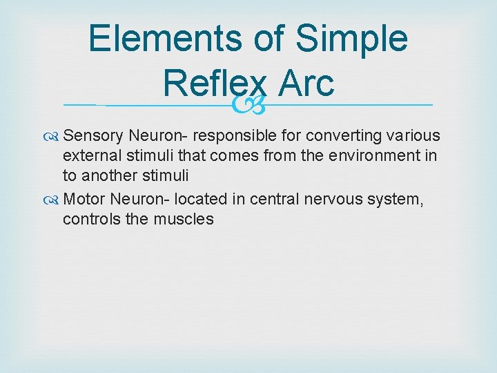 Elements of Simple Reflex Arc Sensory Neuron- responsible for converting various external stimuli that