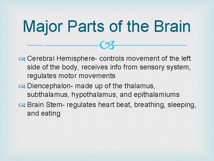 Major Parts of the Brain Cerebral Hemisphere- controls movement of the left side of