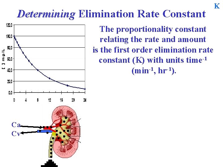 Determining Elimination Rate Constant The proportionality constant relating the rate and amount is the