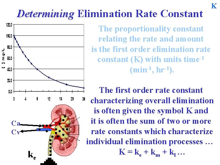 Determining Elimination Rate Constant K The proportionality constant relating the rate and amount is