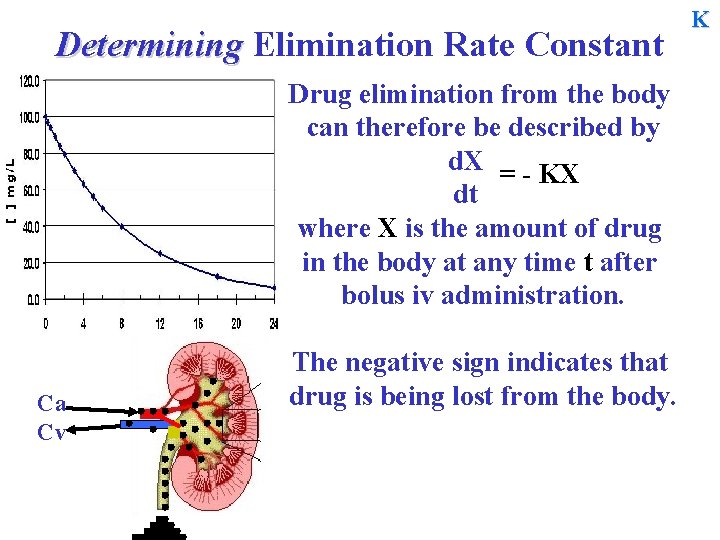 Determining Elimination Rate Constant Drug elimination from the body can therefore be described by