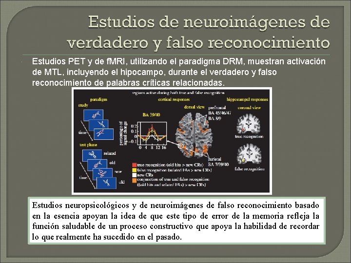 Estudios PET y de f. MRI, utilizando el paradigma DRM, muestran activación de Estudios PET y de f. MRI, utilizando el paradigma DRM, muestran activación de