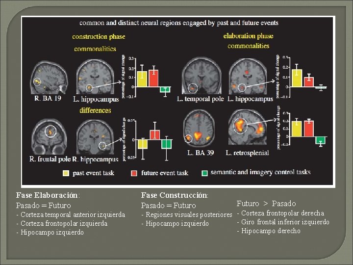 Fase Elaboración: Pasado = Futuro - Corteza temporal anterior izquierda - Corteza frontopolar izquierda Fase Elaboración: Pasado = Futuro - Corteza temporal anterior izquierda - Corteza frontopolar izquierda