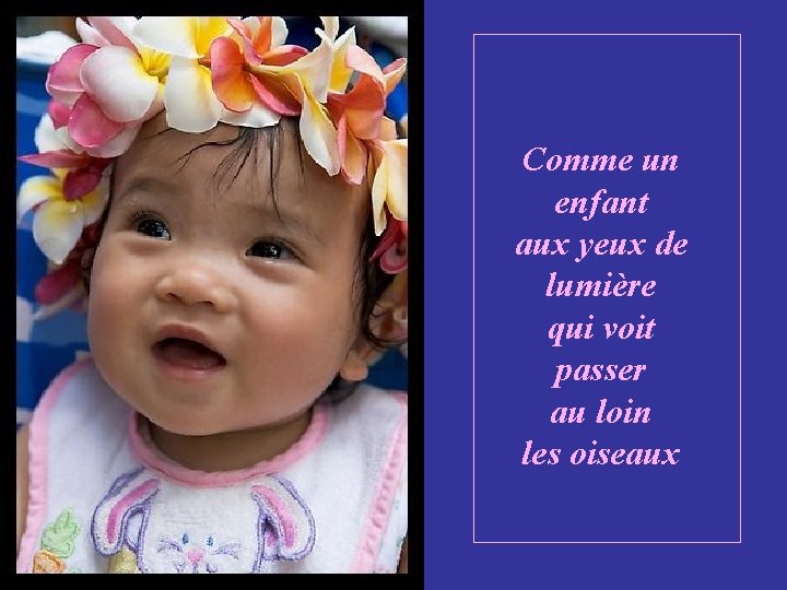 Comme un enfant aux yeux de lumière qui voit passer au loin les oiseaux