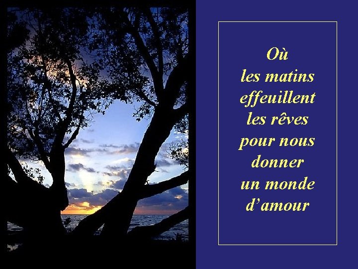 Où les matins effeuillent les rêves pour nous donner un monde d’amour 
