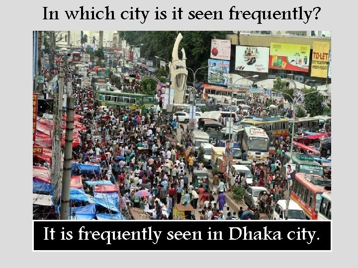 In which city is it seen frequently? It is frequently seen in Dhaka city.