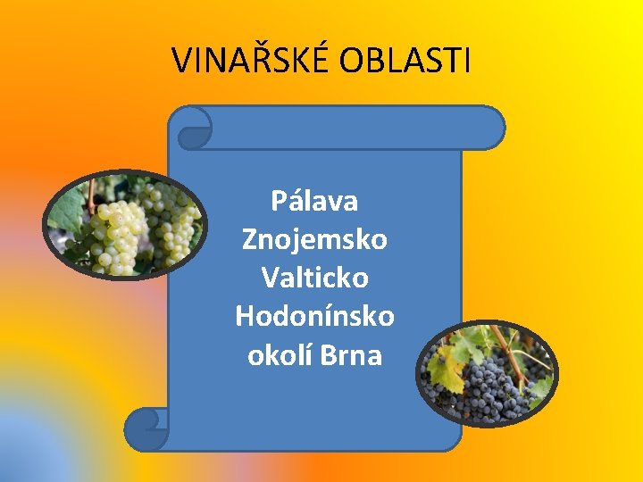 VINAŘSKÉ OBLASTI Pálava Znojemsko Valticko Hodonínsko okolí Brna 
