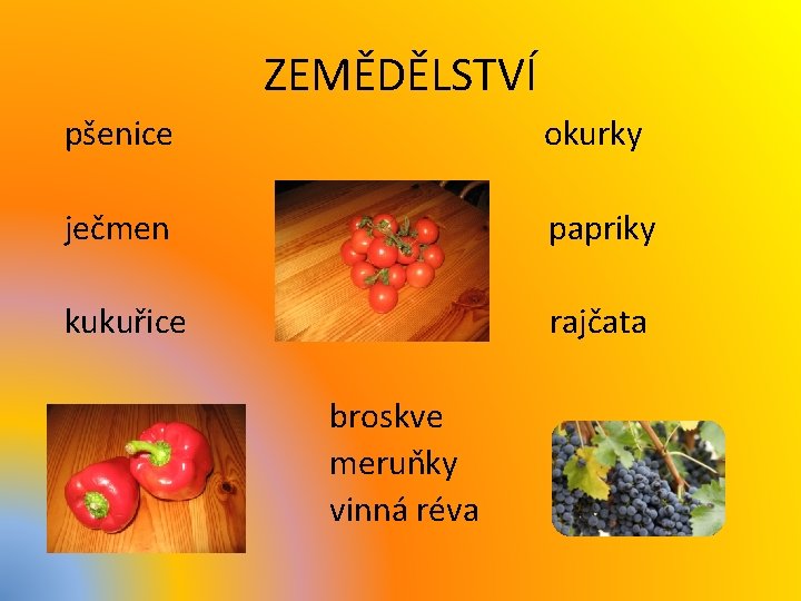 ZEMĚDĚLSTVÍ pšenice okurky ječmen papriky kukuřice rajčata broskve meruňky vinná réva 