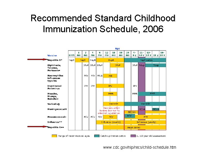 Recommended Standard Childhood Immunization Schedule, 2006 www. cdc. gov/nip/recs/child-schedule. htm 