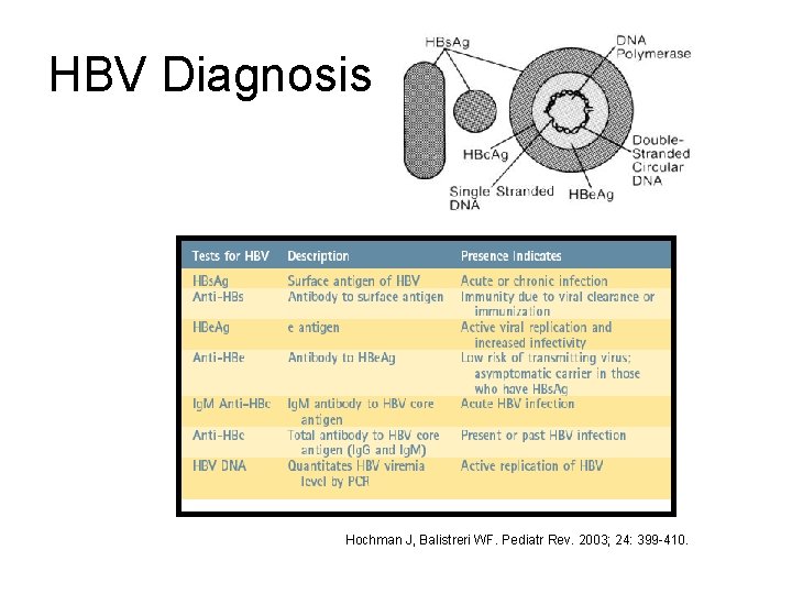 HBV Diagnosis Hochman J, Balistreri WF. Pediatr Rev. 2003; 24: 399 -410. 