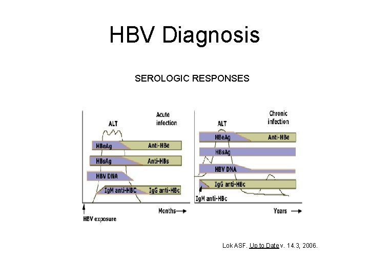 HBV Diagnosis SEROLOGIC RESPONSES Lok ASF. Up to Date v. 14. 3, 2006. 