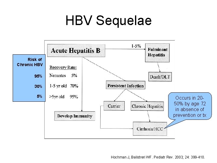 HBV Sequelae Risk of Chronic HBV 95% 30% 5% Occurs in 2050% by age