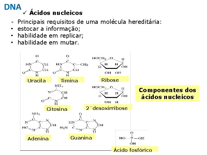 DNA • • • ü Ácidos nucleicos Principais requisitos de uma molécula hereditária: estocar