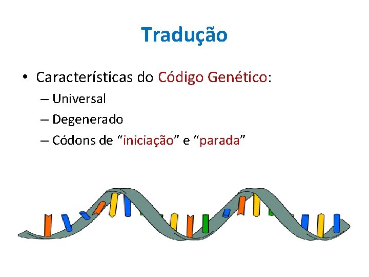 Tradução • Características do Código Genético: – Universal – Degenerado – Códons de “iniciação”