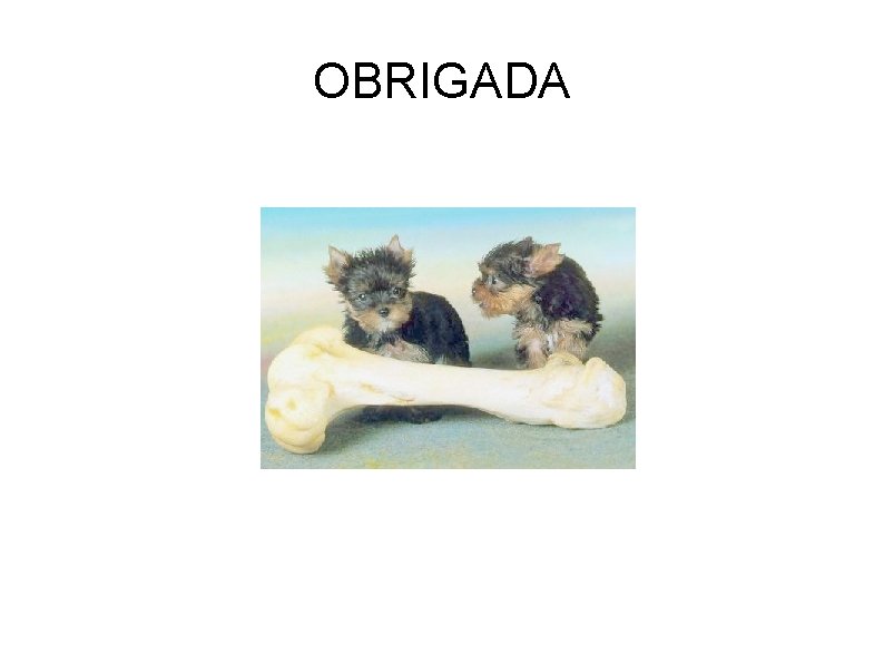 OBRIGADA 