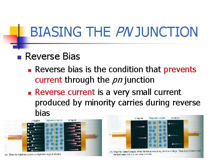 BIASING THE PN JUNCTION n Reverse Bias n n Reverse bias is the condition