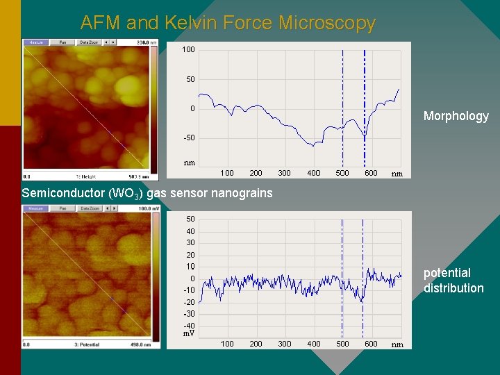 AFM and Kelvin Force Microscopy Morphology Semiconductor (WO 3) gas sensor nanograins potential distribution