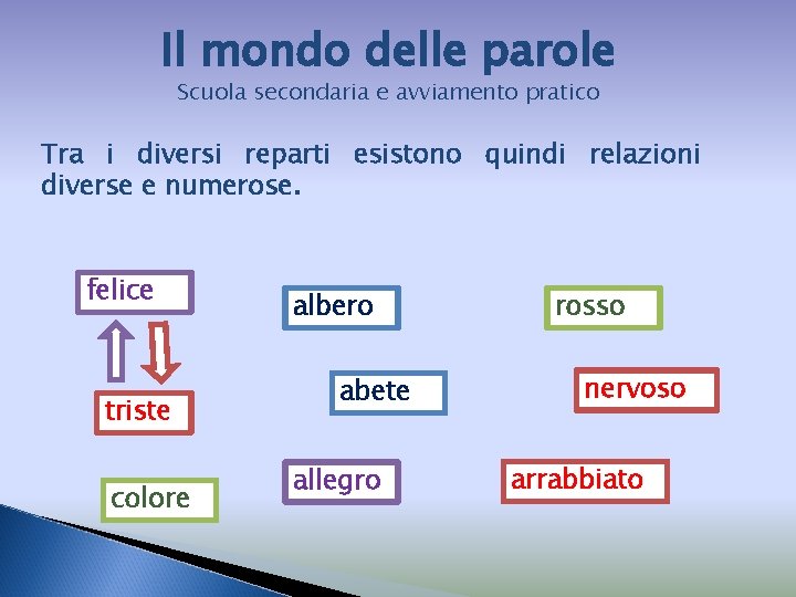 Il mondo delle parole Scuola secondaria e avviamento pratico Tra i diversi reparti esistono