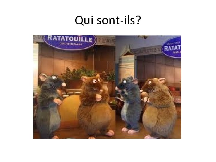 Qui sont-ils? 