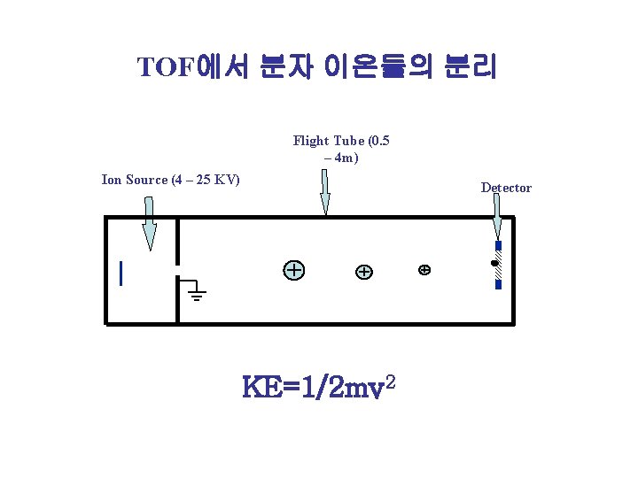 TOF에서 분자 이온들의 분리 Flight Tube (0. 5 – 4 m) Ion Source (4