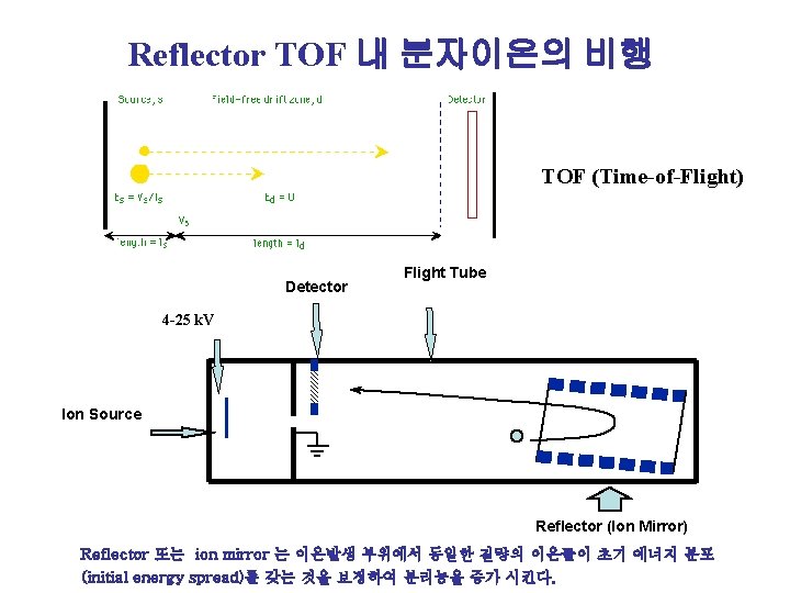 Reflector TOF 내 분자이온의 비행 TOF (Time-of-Flight) Detector Flight Tube 4 -25 k. V