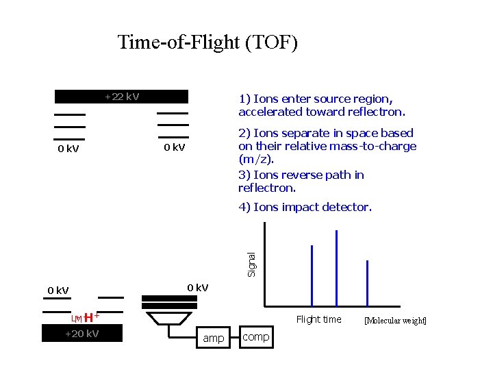 Time-of-Flight (TOF) +22 k. V 0 k. V 1) Ions enter source region, accelerated