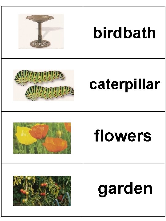 birdbath caterpillar flowers garden 
