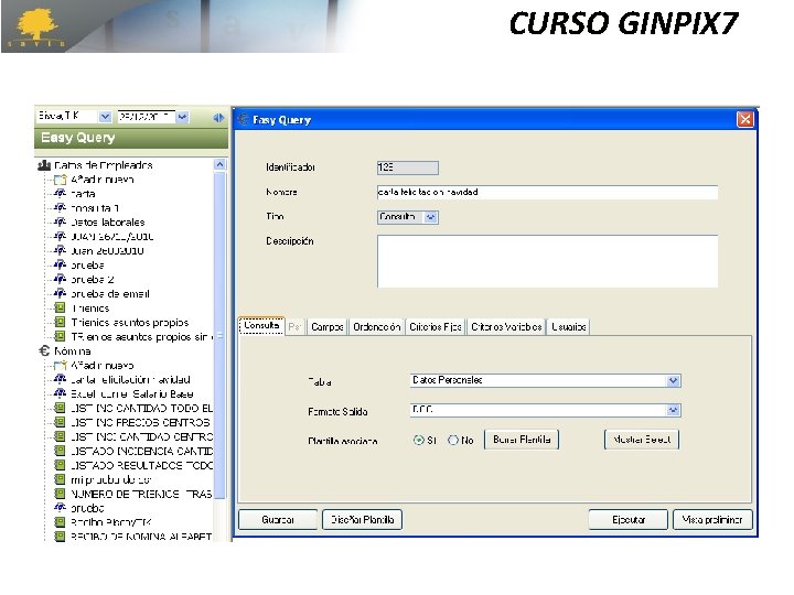 CURSO GINPIX 7 CURSO GINPIX 7