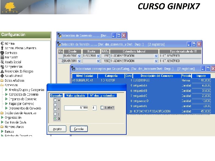 CURSO GINPIX 7 CURSO GINPIX 7