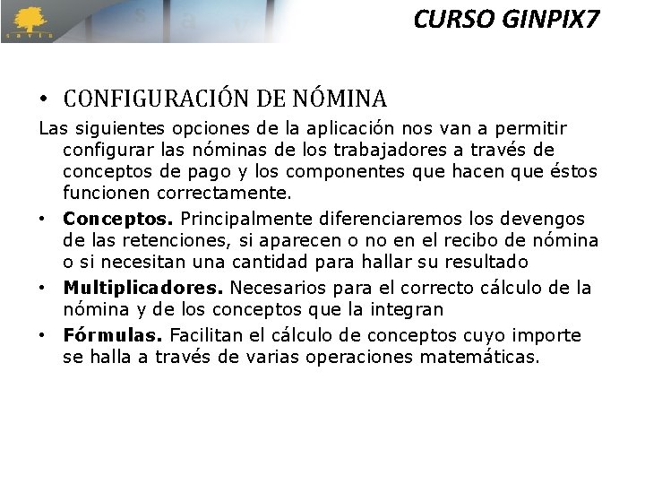CURSO GINPIX 7 • CONFIGURACIÓN DE NÓMINA Las siguientes opciones de la aplicación nos CURSO GINPIX 7 • CONFIGURACIÓN DE NÓMINA Las siguientes opciones de la aplicación nos
