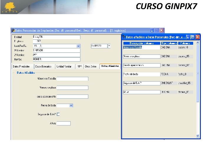 CURSO GINPIX 7 CURSO GINPIX 7