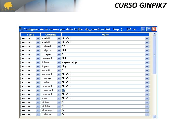 CURSO GINPIX 7 CURSO GINPIX 7