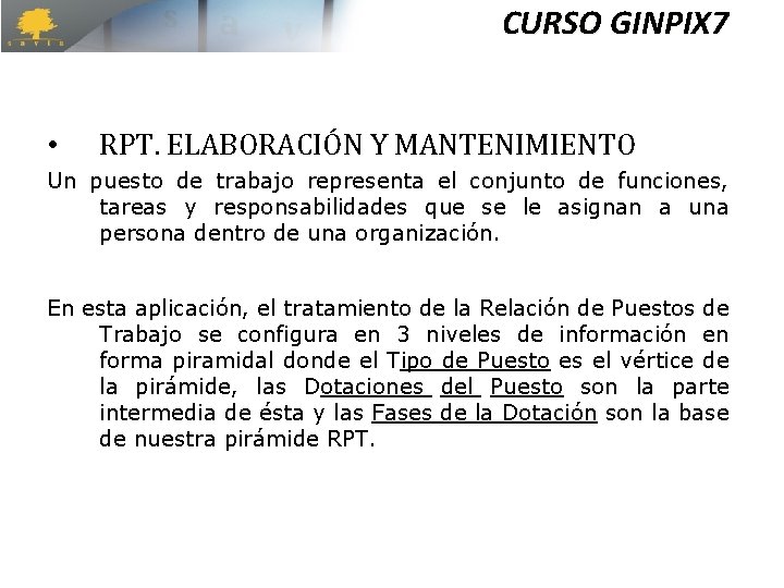 CURSO GINPIX 7 • RPT. ELABORACIÓN Y MANTENIMIENTO Un puesto de trabajo representa el CURSO GINPIX 7 • RPT. ELABORACIÓN Y MANTENIMIENTO Un puesto de trabajo representa el