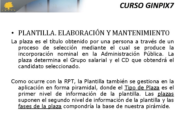 CURSO GINPIX 7 • PLANTILLA. ELABORACIÓN Y MANTENIMIENTO La plaza es el título obtenido CURSO GINPIX 7 • PLANTILLA. ELABORACIÓN Y MANTENIMIENTO La plaza es el título obtenido