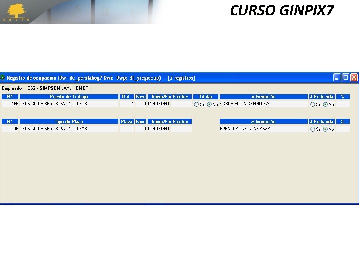 CURSO GINPIX 7 CURSO GINPIX 7