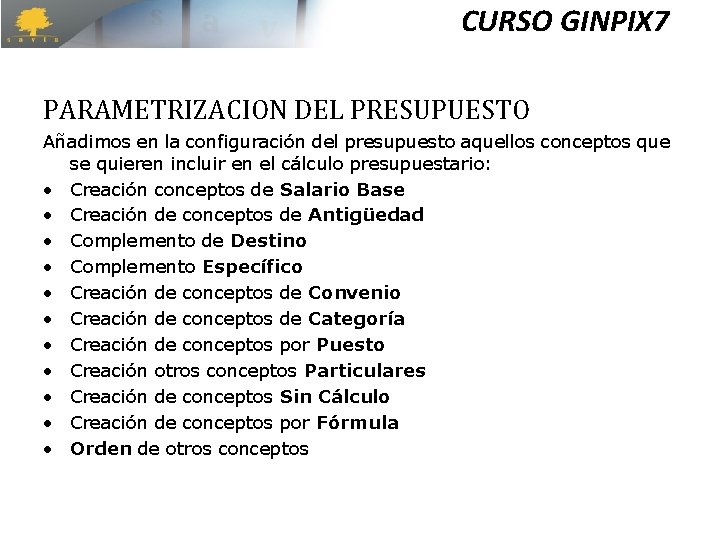 CURSO GINPIX 7 PARAMETRIZACION DEL PRESUPUESTO Añadimos en la configuración del presupuesto aquellos conceptos CURSO GINPIX 7 PARAMETRIZACION DEL PRESUPUESTO Añadimos en la configuración del presupuesto aquellos conceptos