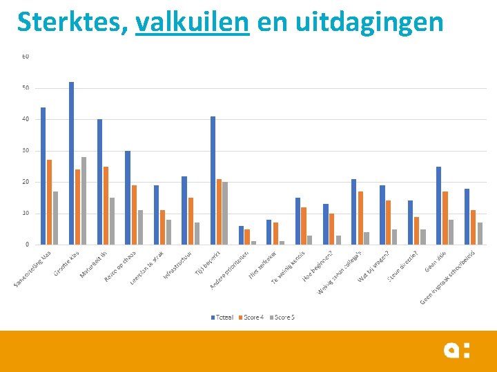 Sterktes, valkuilen en uitdagingen 