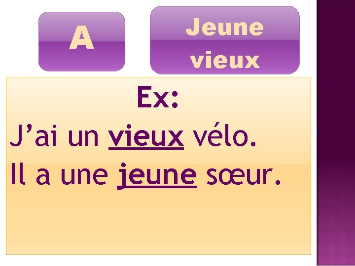 A Jeune vieux Ex: J’ai un vieux vélo. Il a une jeune sœur. 