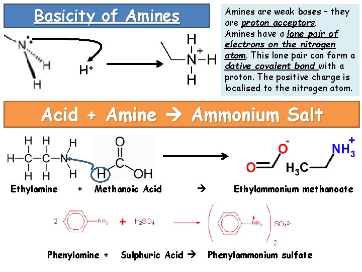 Basicity of Amines are weak bases – they are proton acceptors. Amines have a