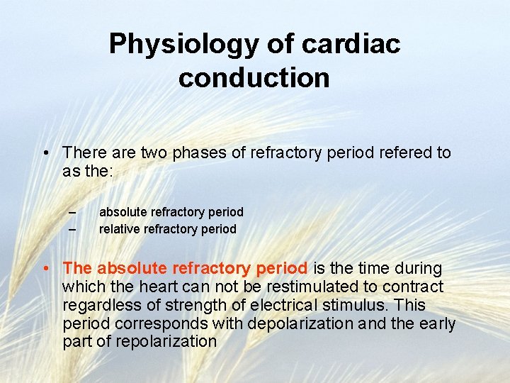 Physiology of cardiac conduction • There are two phases of refractory period refered to