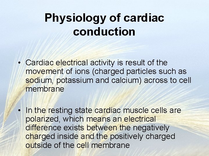 Physiology of cardiac conduction • Cardiac electrical activity is result of the movement of