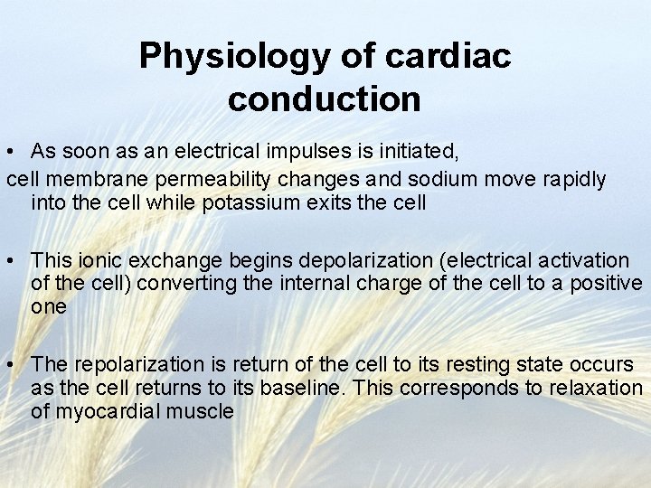 Physiology of cardiac conduction • As soon as an electrical impulses is initiated, cell